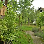 Beautiful In A Black Forest House With Conservatory بيرنو ام سشوارتزال