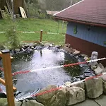 Beautiful In A Black Forest House With Conservatory * بيرنو ام سشوارتزال
