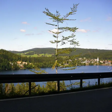 Beautiful In A Black Forest House With Conservatory * Bernau im Schwarzwald