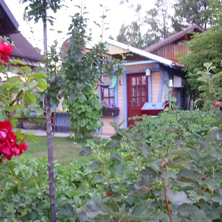 Beautiful In A Black Forest House With Conservatory *