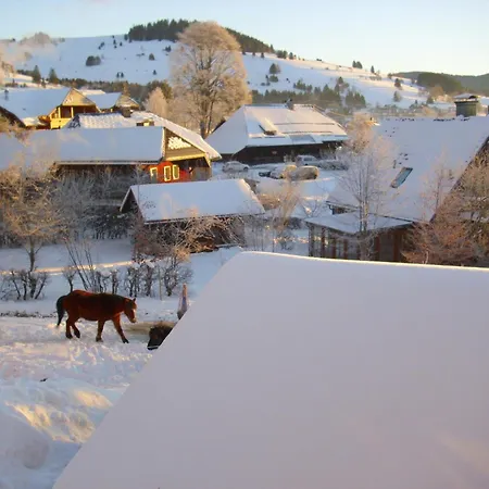 Apartamento Beautiful In A Black Forest House With Conservatory Bernau im Schwarzwald