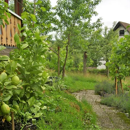 Beautiful In A Black Forest House With Conservatory