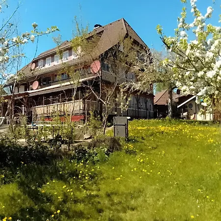 Beautiful In A Black Forest House With Conservatory بيرنو ام سشوارتزال